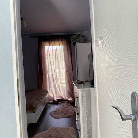 Апартаменты Garsoniera La Casa Тимишоара Экстерьер фото